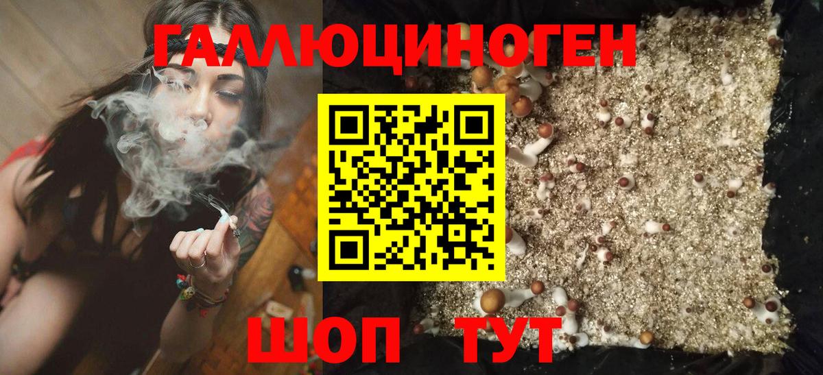Галлюциногенные грибы Cubensis  Псилоцибиновые грибы Psilocybe  Киселёвск  Вход с VPN 